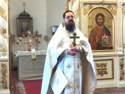 КРЕЩЕНСКИЙ СОЧЕЛЬНИК 